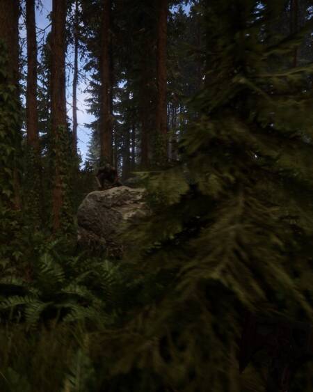 Sons Of The Forest